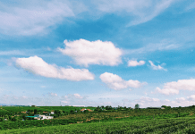 DITR 2022: Receita Federal divulga prazo para envio da declaração de propriedades rurais