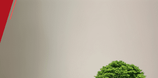 Suframa promove Fórum de Indústria 4.0 e Tecnologia 5G