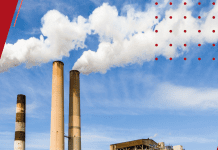 STJ: Contribuinte pode requerer compensação do crédito presumido de IPI com qualquer tributo federal