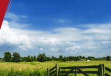 Mais de 4,5 milhões de Declarações de ITR 2022 já foram enviadas à Receita Federal