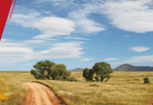 Operação DeclaraGrãos RS promove conformidade tributária de produtores rurais