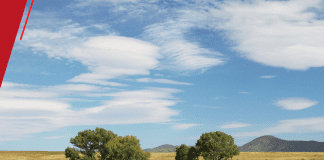 Operação DeclaraGrãos RS promove conformidade tributária de produtores rurais