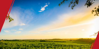 POTENCIALIZANDO GANHOS: As Vantagens da Condição de Produtor Rural Pessoa Física