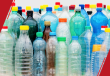 Empreendedorismo na Páscoa: Prefeitura de Macapá aquece o mercado com Curso de Bioembalagens