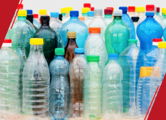 Empreendedorismo na Páscoa: Prefeitura de Macapá aquece o mercado com Curso de Bioembalagens